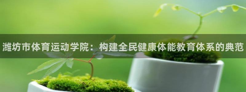 米兰体育官方正版app官网：潍坊市体育运动学院：构建