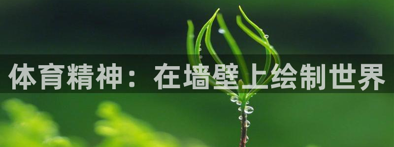 米兰体育官网下载招商电话地址