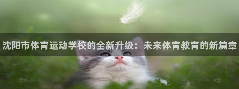 米兰体育官网下载：沈阳市体育运动学校的全新升级：未来
