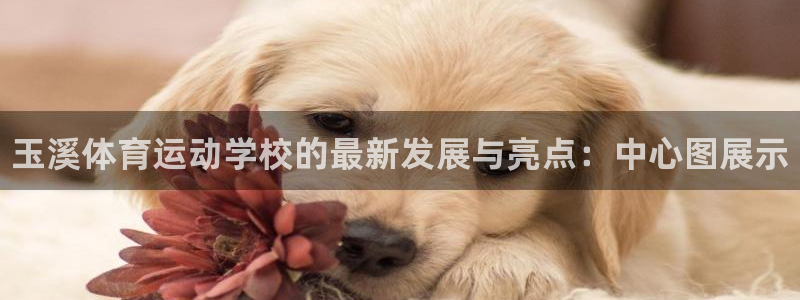 米兰体育官网下载平台注册：玉溪体育运动学校的最新发展与亮点：