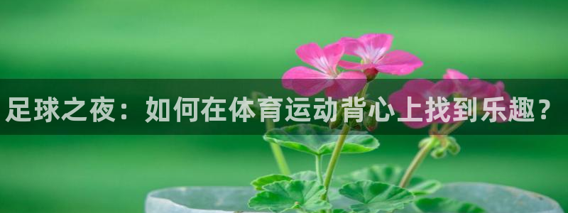 米兰体育官网下载平台注册要钱吗安全吗：足球之夜：如何在体育运