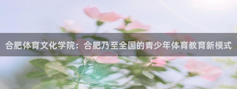 米兰体育官方正版app科技：合肥体育文化学院：合肥乃