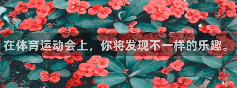 米兰体育官方正版app官方：在体育运动会上，你将发现