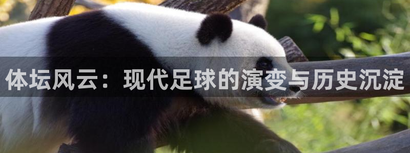 米兰体育官网下载招商：体坛风云：现代足球的演变与历史沉淀