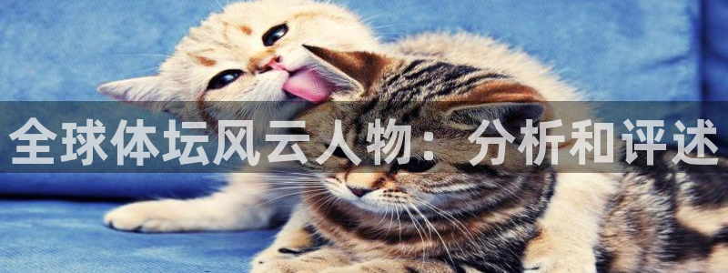 米兰体育官网下载是干嘛的公司：全球体坛风云人物：分析和评述