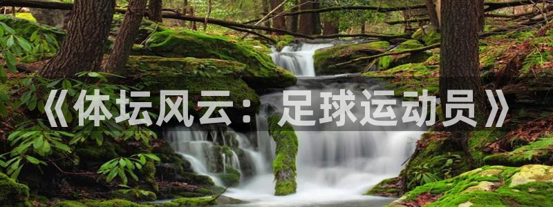 米兰体育官网下载平台注册要钱吗安全吗：《体坛风云：足球运动员