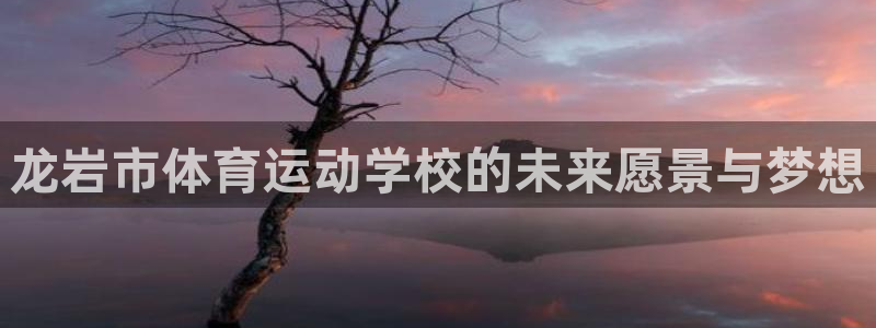  米兰体育最新版：龙岩市体育运动学校的未来愿景与梦想