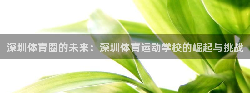 北京米兰体育文化发展有限公司：深圳体育圈的未来：深圳体育运动