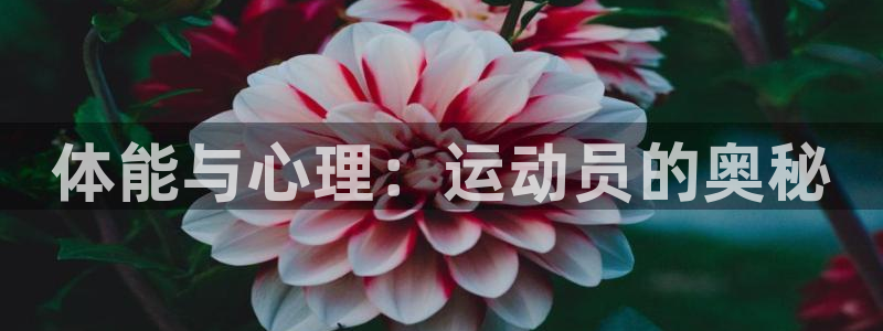 米兰体育场：体能与心理：运动员的奥秘