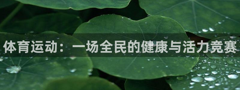 米兰体育绑定银行卡安全吗：体育运动：一场全民的健康与活力竞赛