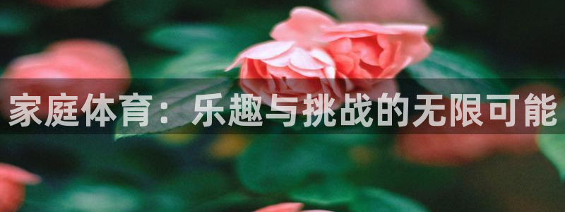 米兰体育黑钱是真的吗：家庭体育：乐趣