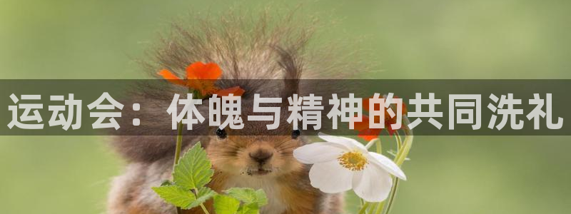  米兰体育官网拉斯帕尔马斯战略伙伴W：运动会：体魄与精神的共同