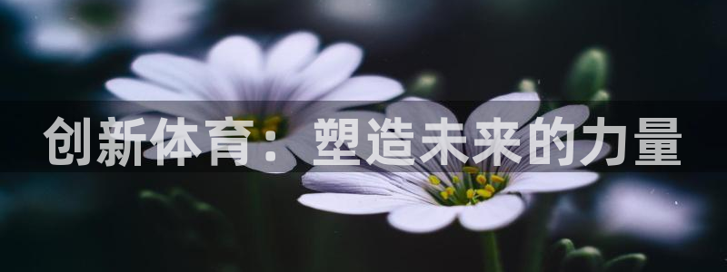 米兰体育绑定银行卡安全吗是真的吗：创新体育：塑造未来的力量