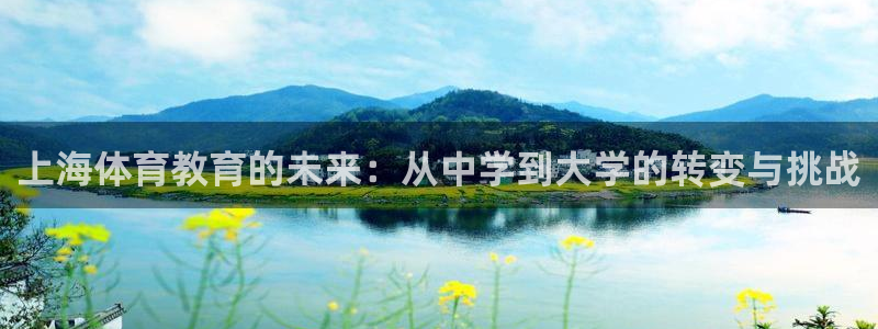 米兰体育vip4充了多少钱啊：上海体