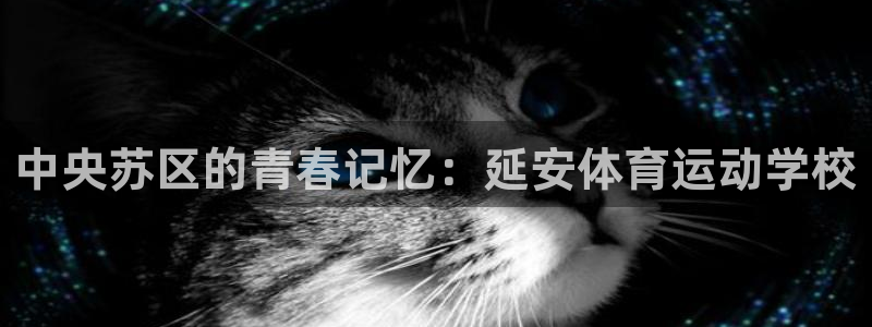 米兰体育买球犯法吗
