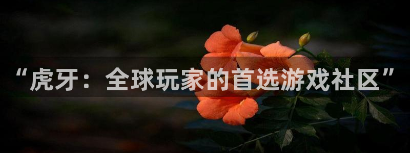 88看球直播：“虎牙：全球玩家的首选游戏社区”