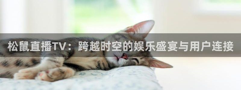 nba直播在线观看88看球：松鼠直播TV：跨越时空的娱乐盛宴与用户连接