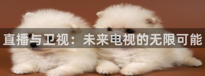 88看球nba直播吧