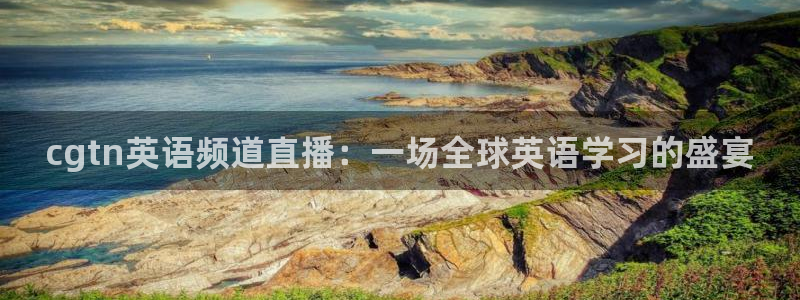 88看球app直播：cgtn英语频道直播：一场全球英语学习的盛宴