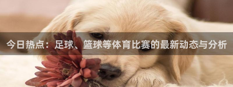 nba直播在线观看88看球