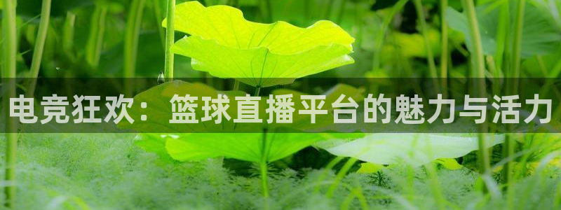 88看球直播足球比赛