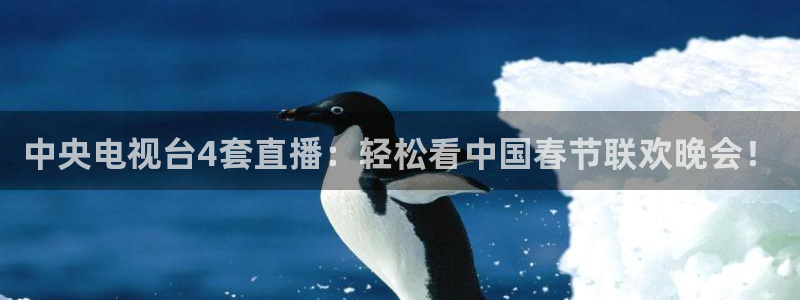 88看球免费直播：中央电视台4套直播：轻松看中国春节联欢晚会！