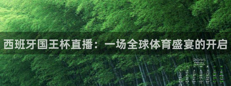188看球直播官网入口：西班牙国王杯直播：一场全球体育盛宴的开启
